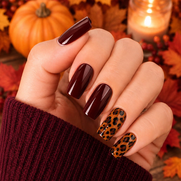 Fall Collection